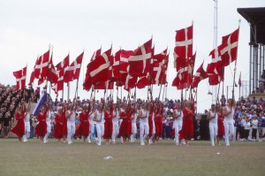 Landsstævnet 1990 i Horsens - indmarchen (1)